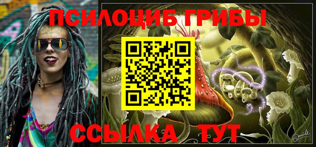 Галлюциногенные грибы мицелий Севастополь