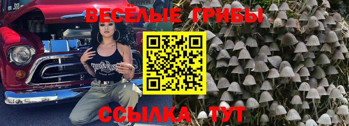 Севастополь  цены наркотик  Вход с VPN  Псилоцибиновые грибы MAGIC MUSHROOMS 